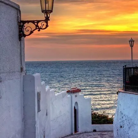 Apartamento Bajos Jimena At